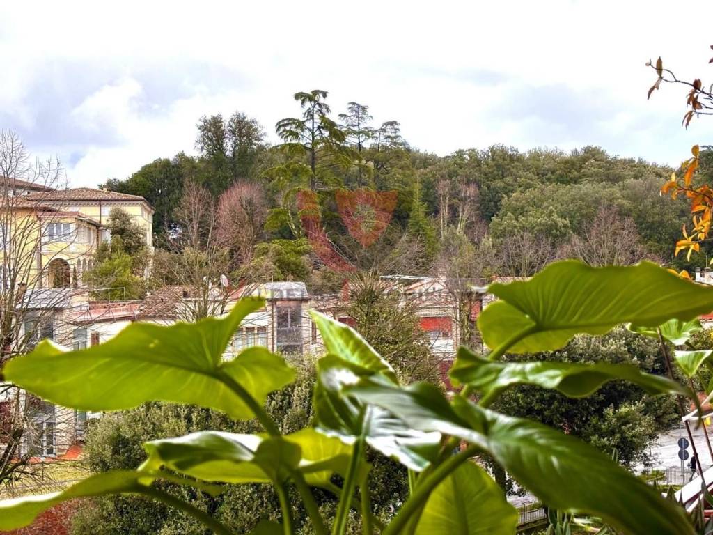 Appartamento a Siena in Via Celso Cittadini, , 14 - Foto 4