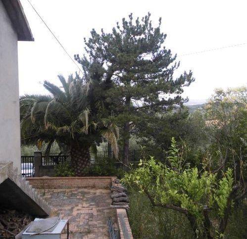 Rustico / casale a Vasto - Foto 5