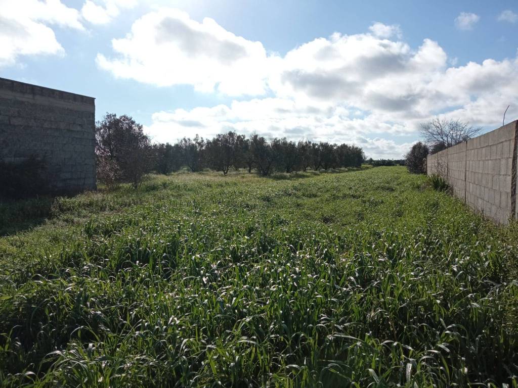 Terreno a Nardò in Strada Ouvari - Foto 2