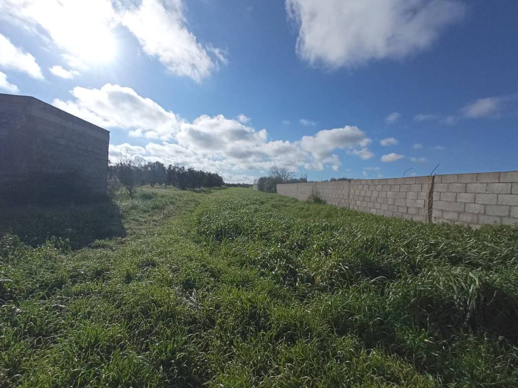 Terreno a Nardò in Strada Ouvari - Foto 3