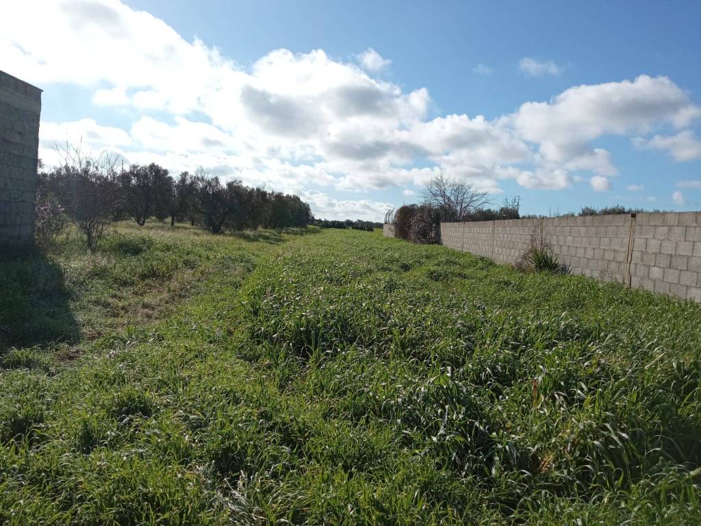 Terreno a Nardò in Strada Ouvari - Foto 4