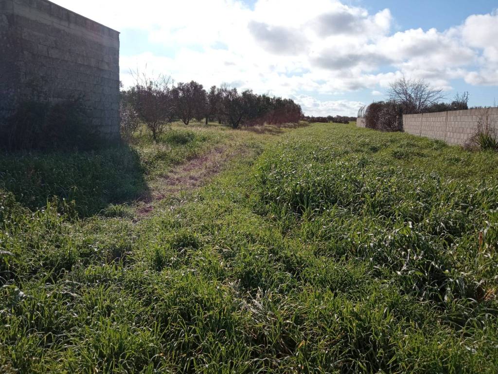 Terreno a Nardò in Strada Ouvari - Foto 5