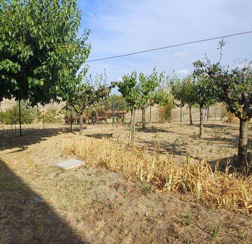 Casa indipendente a Casalanguida in Cese - Foto 4