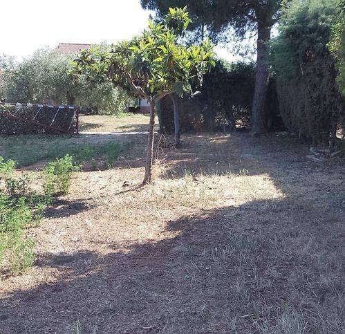 Villa a Pollutri in Via Piano Valle - Foto 3