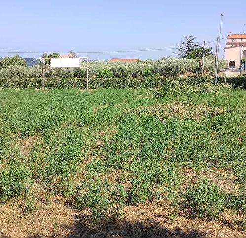 Villa a Pollutri in Via Piano Valle - Foto 4