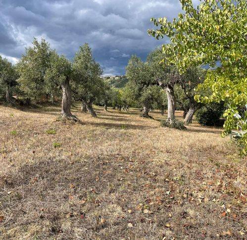 Villa a Vasto in Via Montevecchio - Foto 3