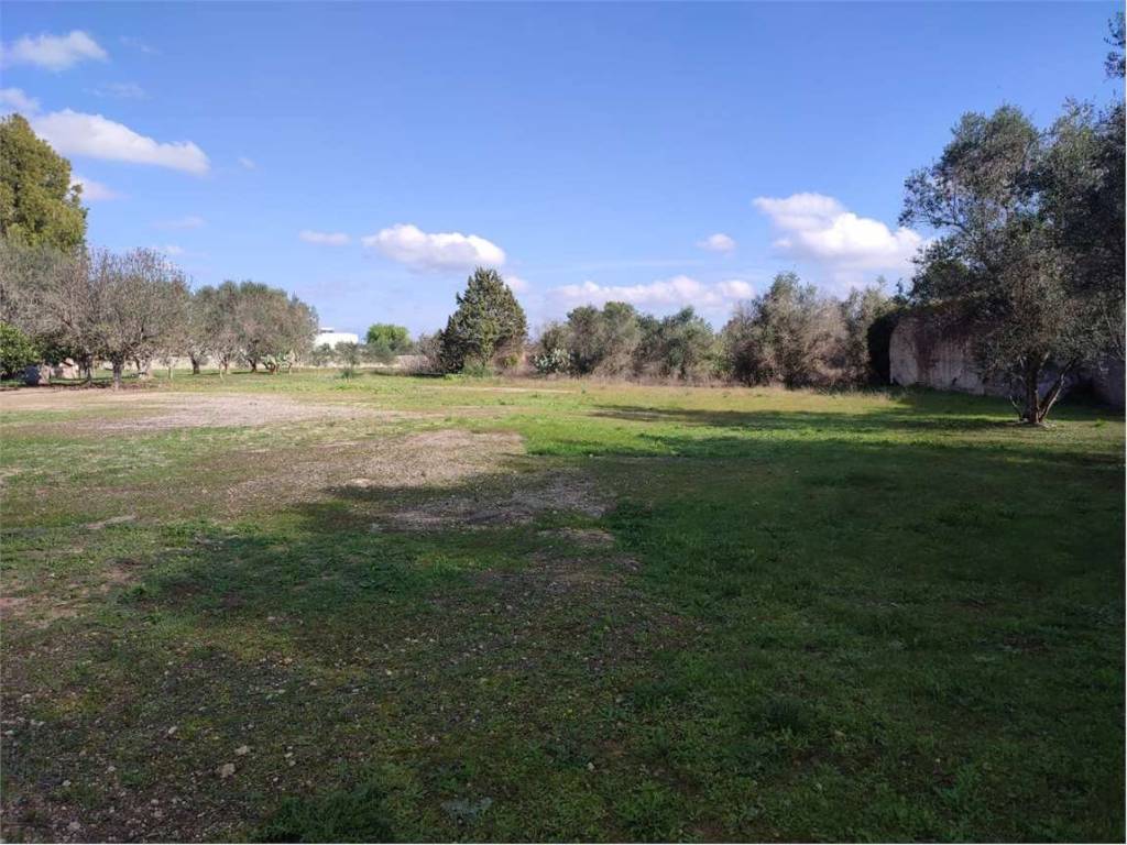 Terreno a Lecce in via dell'agricoltura - Foto 4