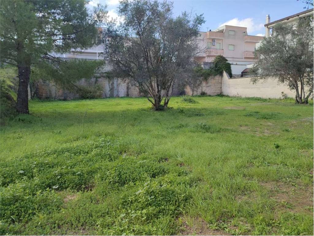 Terreno a Lecce in via dell'agricoltura - Foto 5
