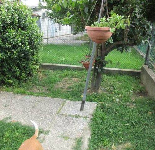 Villa a Fusignano - Foto 4