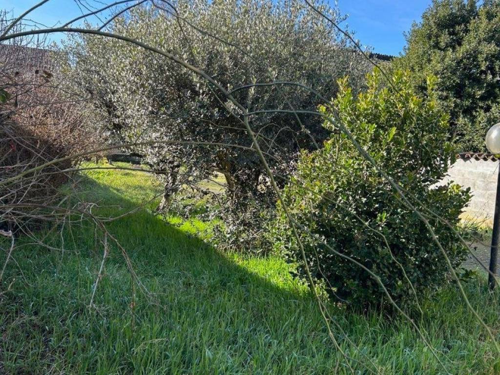 Casa indipendente a Casalmaggiore - Foto 5