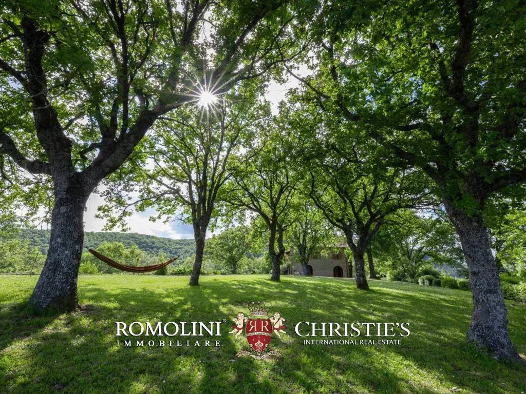 Casa indipendente a Città di castello - Foto 3