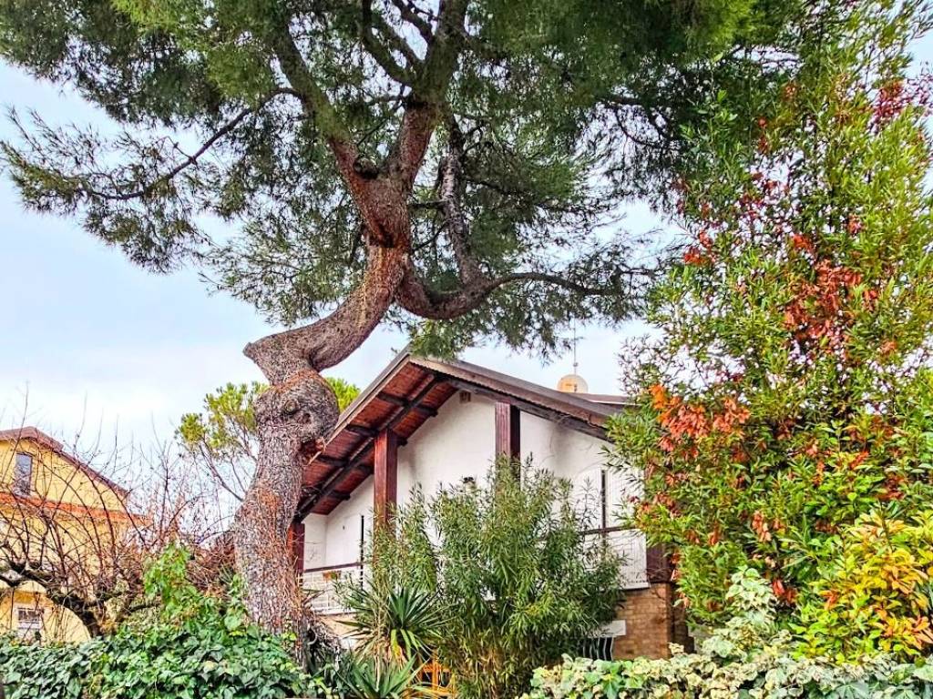 Villa a Riccione in Via Arimondi - Foto 3