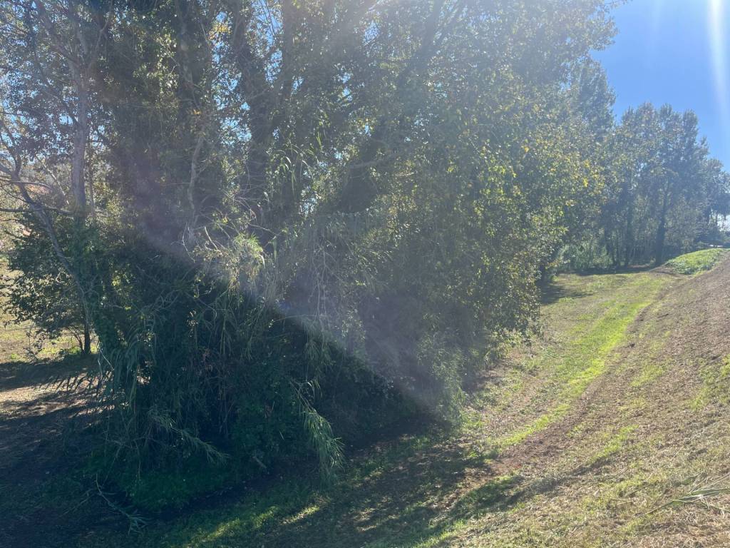 Terreno a Lajatico in Srada Provinciale 45, 3 - Foto 2