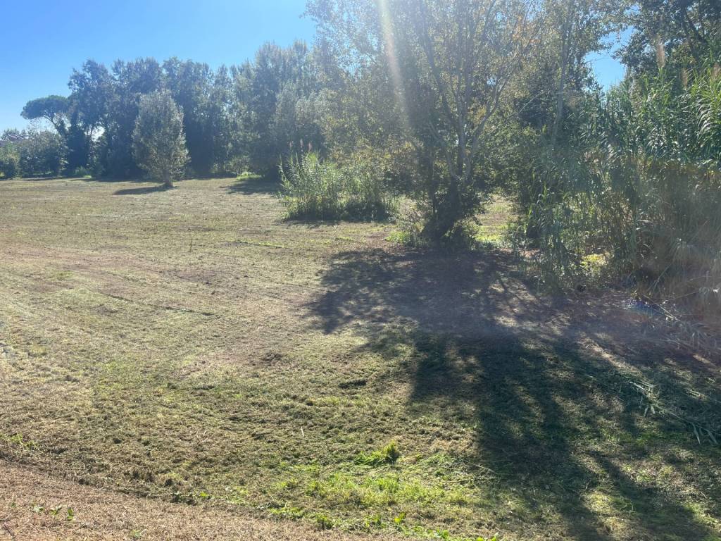 Terreno a Lajatico in Srada Provinciale 45, 3 - Foto 3