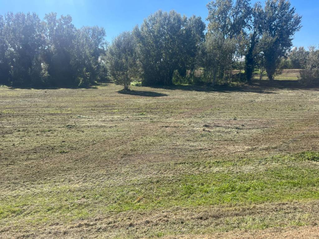 Terreno a Lajatico in Srada Provinciale 45, 3 - Foto 4