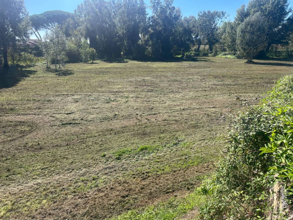 Terreno a Lajatico in Srada Provinciale 45, 3 - Foto 5