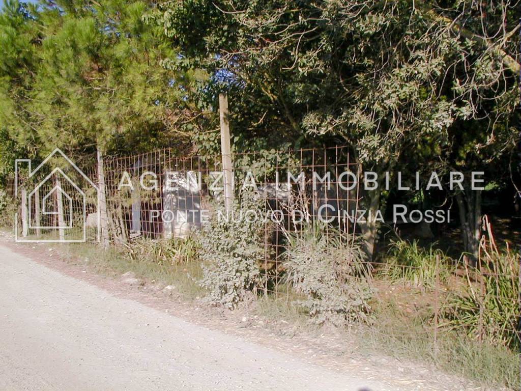 Terreno a Ravenna - Foto 4