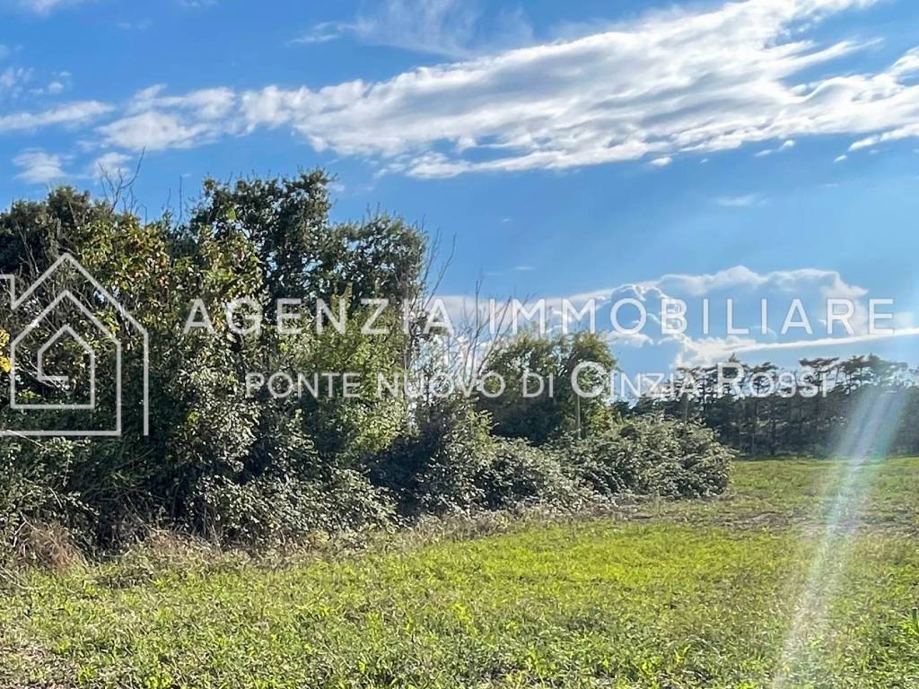 Terreno a Ravenna - Foto 5