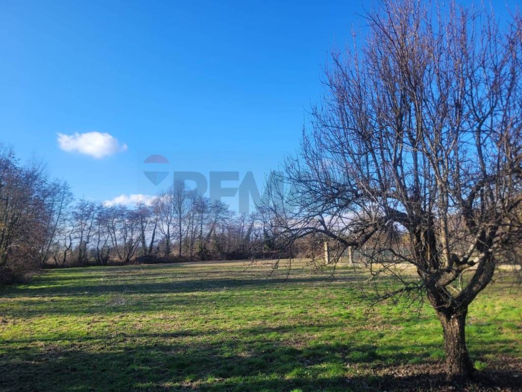 Villa a Greggio in VIA CARLO PALMARO, 1 - Foto 4
