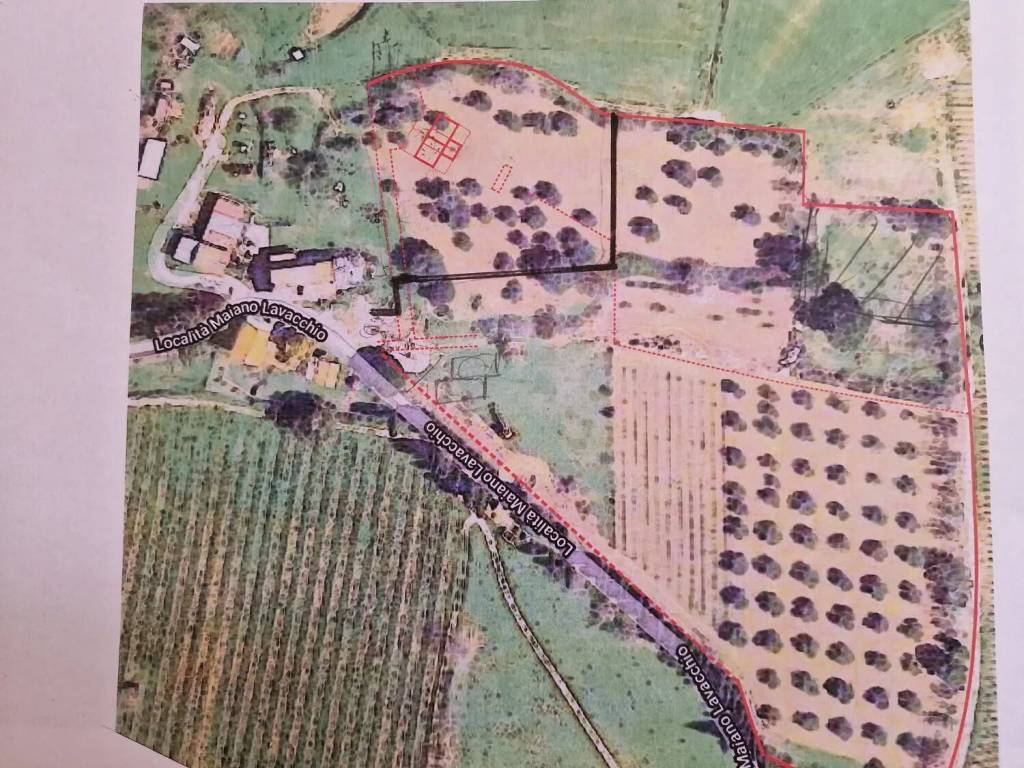 Terreno a Magliano in toscana in Località Pagliatelli Maiano Lavacchio - Foto 4