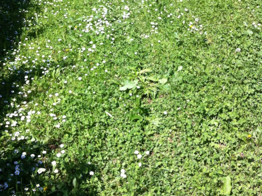 Terreno a Castenedolo - Foto 5