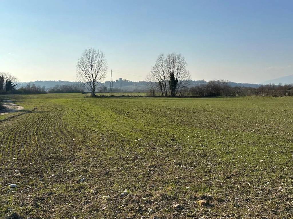 Terreno a Susegana in Colfosco No Number - Foto 5