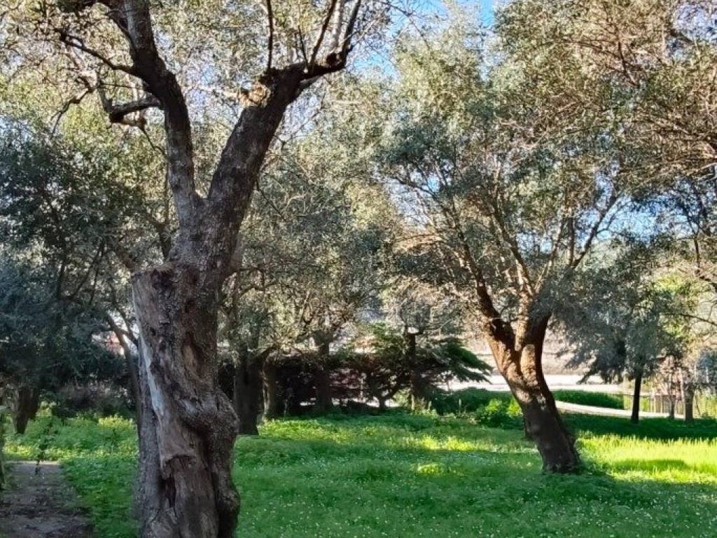 Villa a Seravezza in Via del Campo - Foto 5