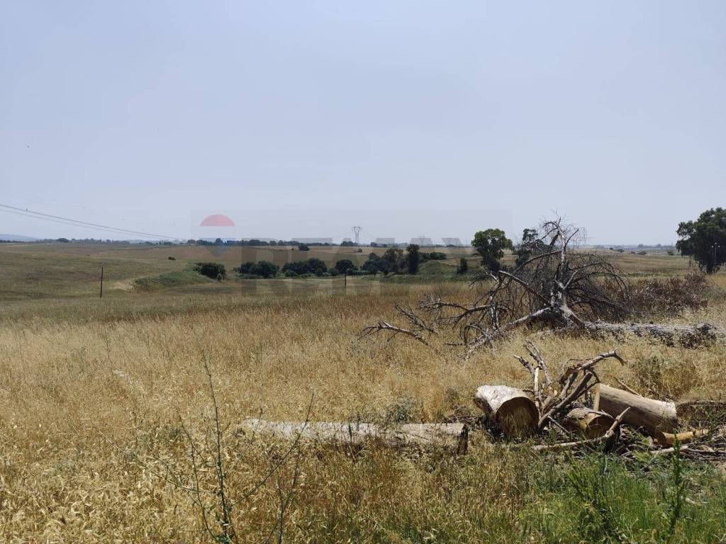 Terreno a Pomezia in Via Cerqueto - Foto 4