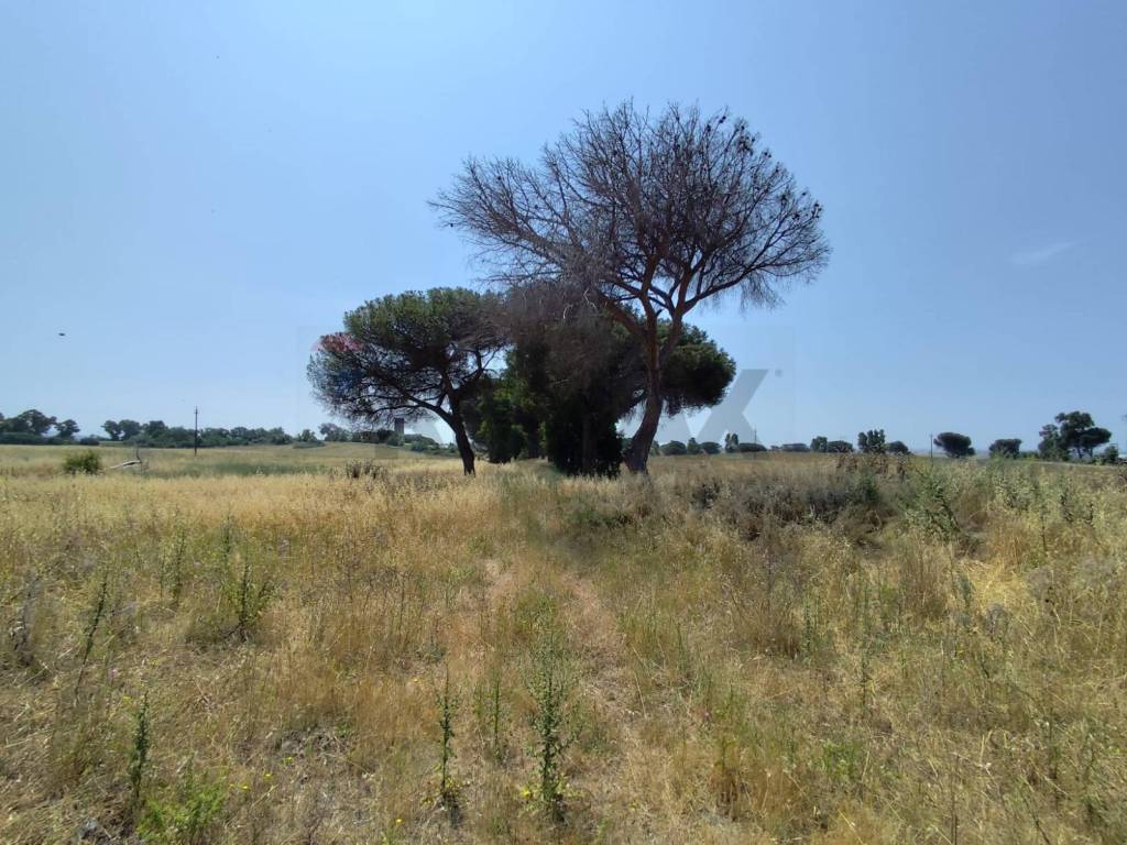 Terreno a Pomezia in Via Cerqueto - Foto 5