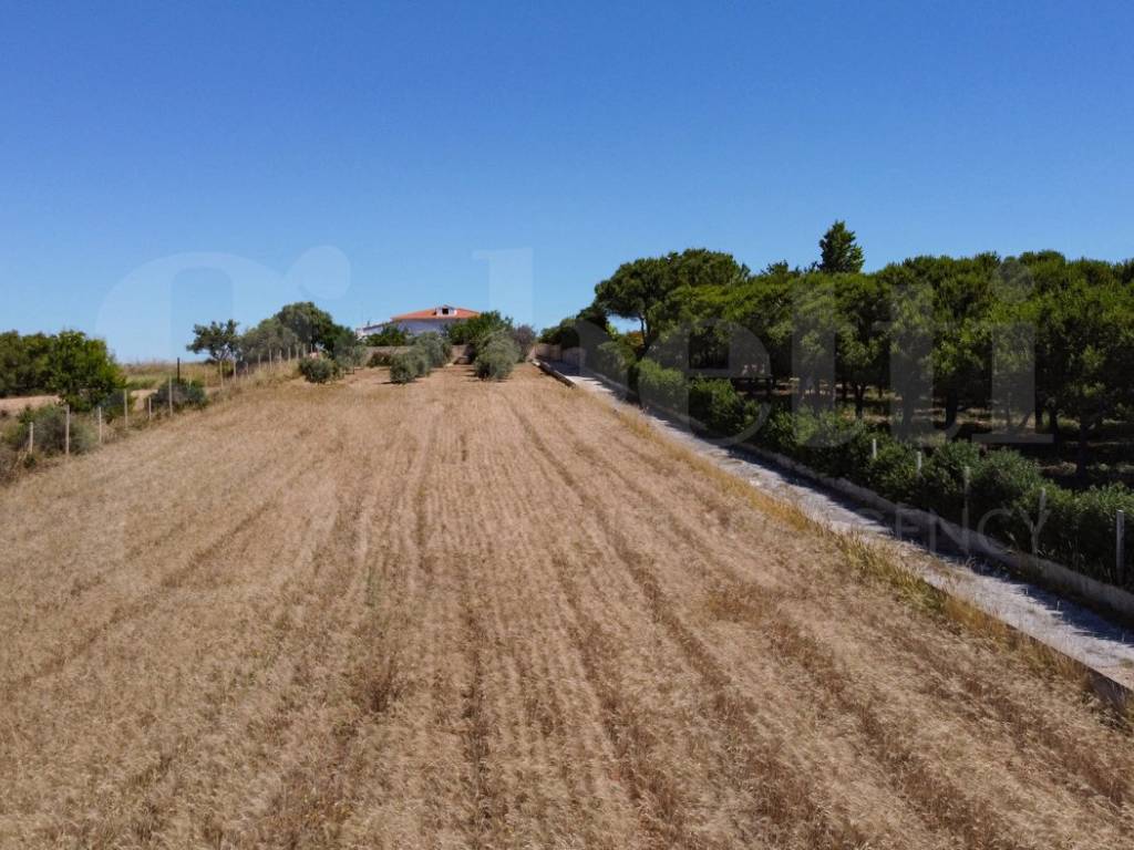 Villa a Pachino in contrada scarpitta, . - Foto 3