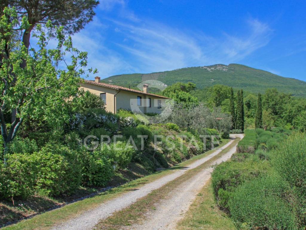 Rustico / casale a Cetona in Località Borgo Matera - Foto 4