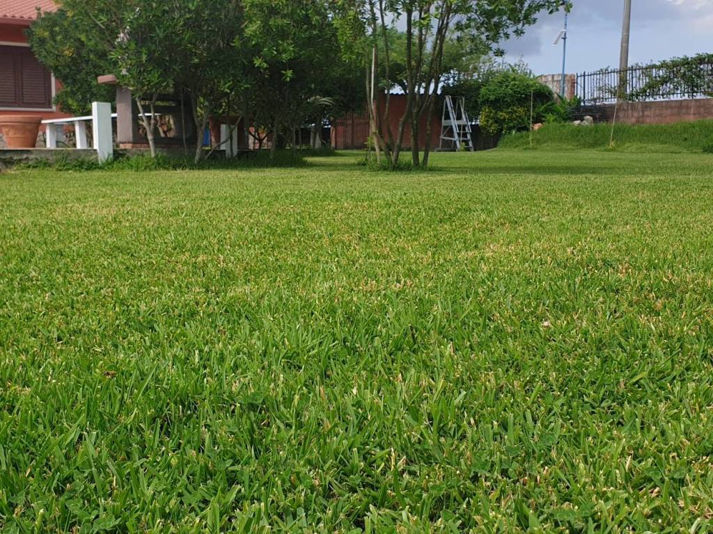 Villa a Limbadi in SP29 - Foto 3