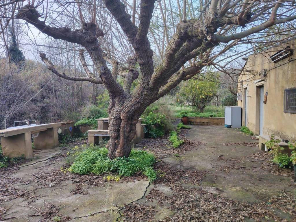 Rustico / casale a Caltagirone in Strada Statale di Caltagirone - Foto 2