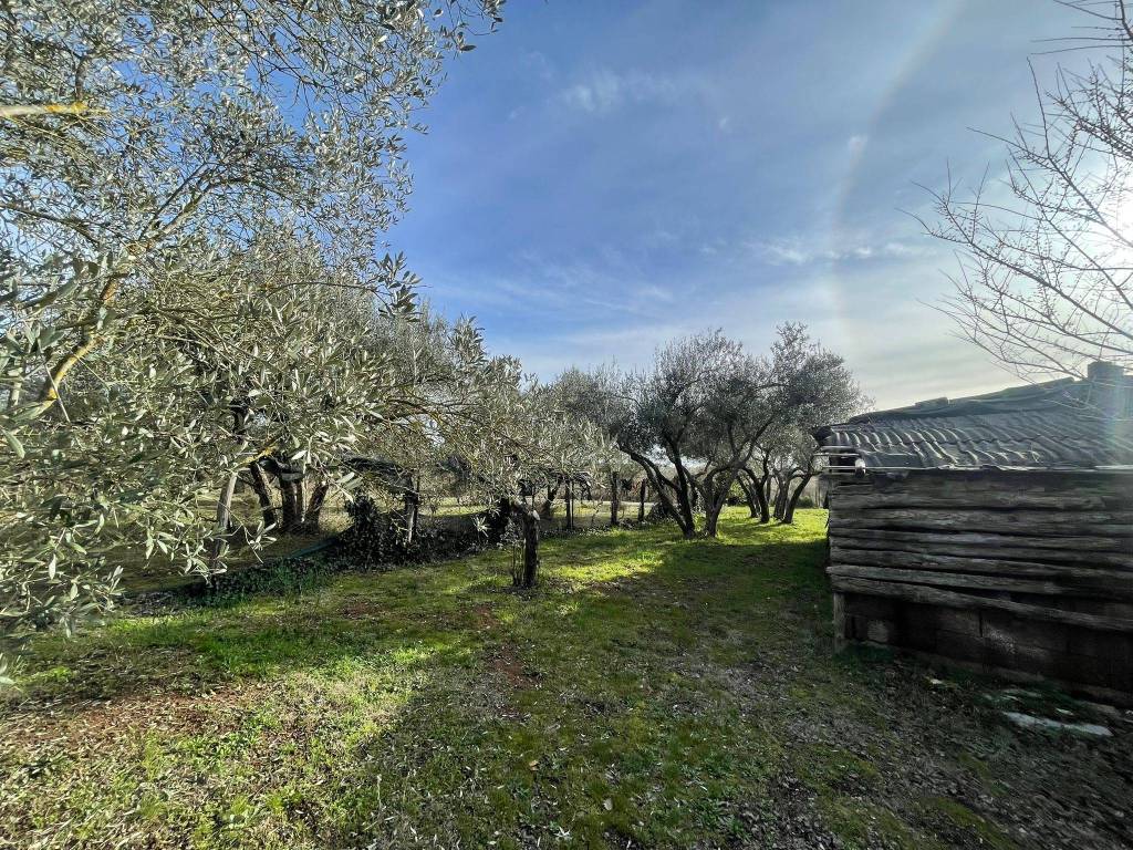 Terreno a Vetralla in Località Dogane - Foto 2