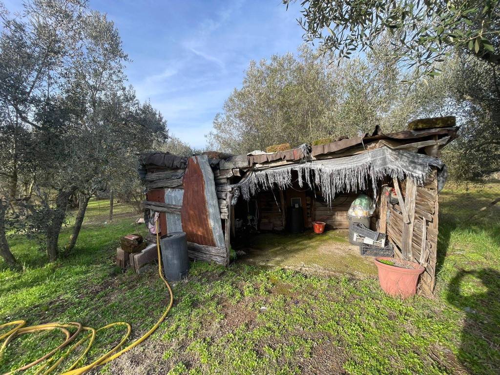 Terreno a Vetralla in Località Dogane - Foto 3