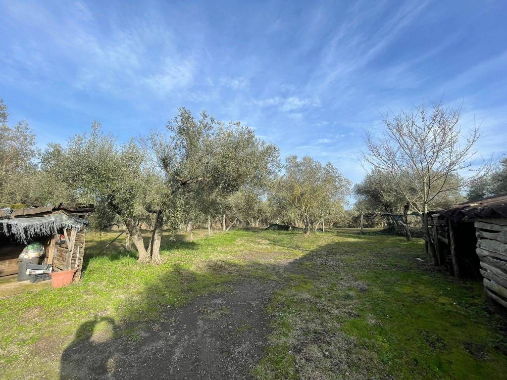 Terreno a Vetralla in Località Dogane - Foto 4