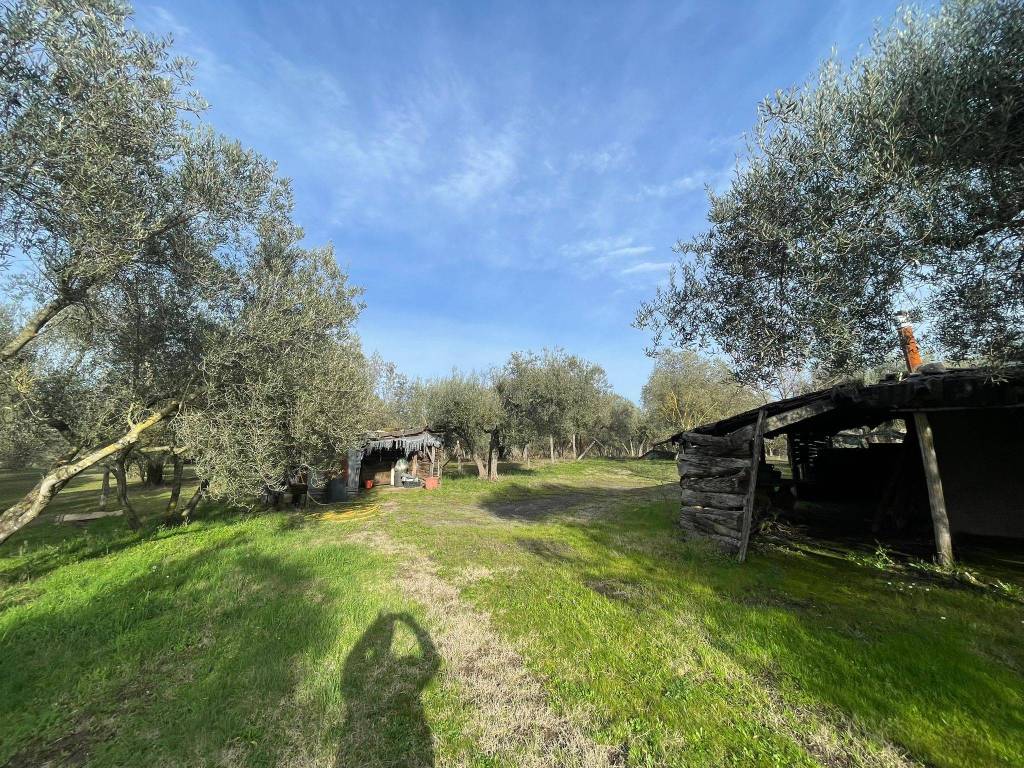 Terreno a Vetralla in Località Dogane - Foto 5