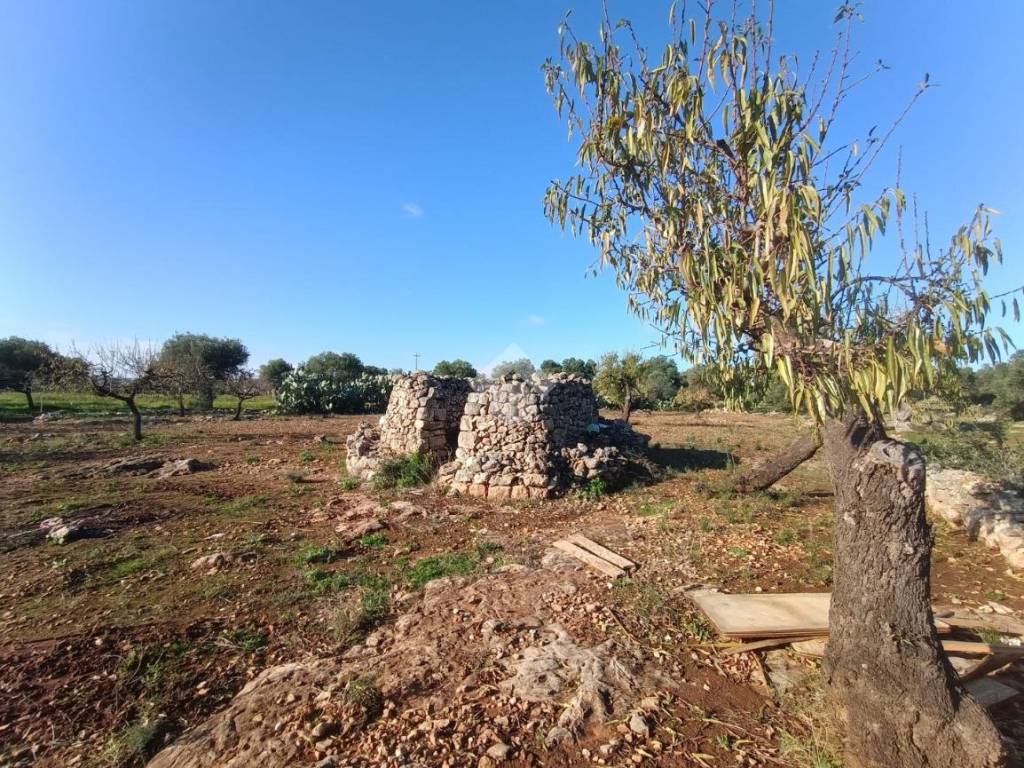 Terreno a Polignano a mare in Contrada Mucchio o Spesseto - Foto 2