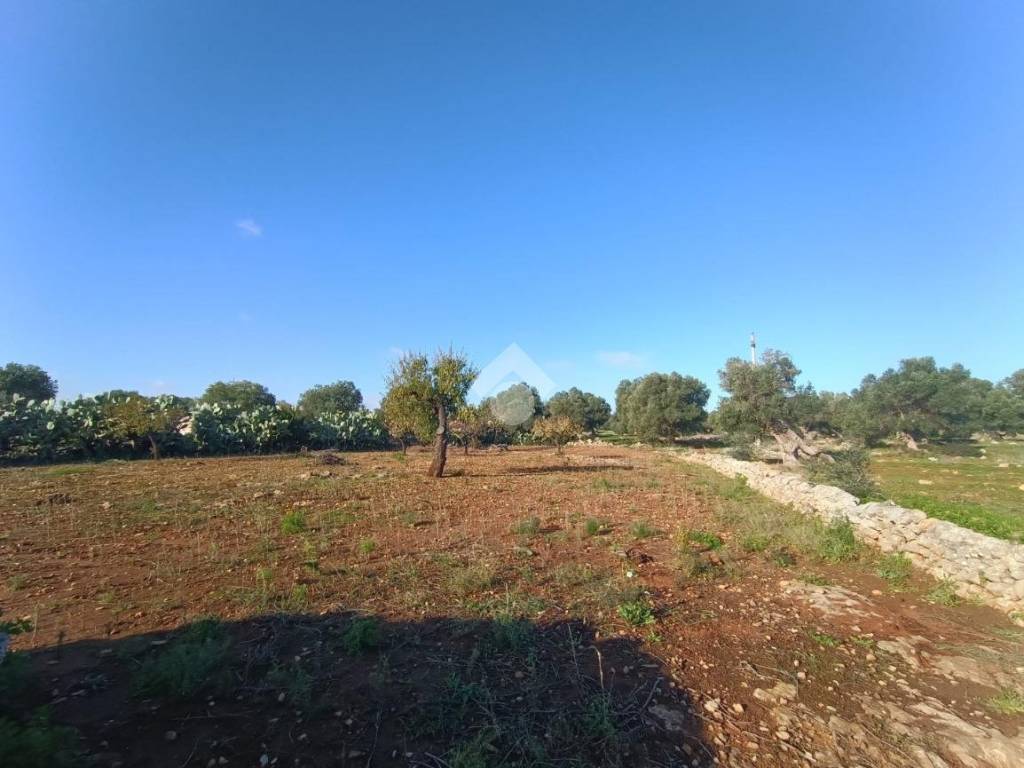 Terreno a Polignano a mare in Contrada Mucchio o Spesseto - Foto 3