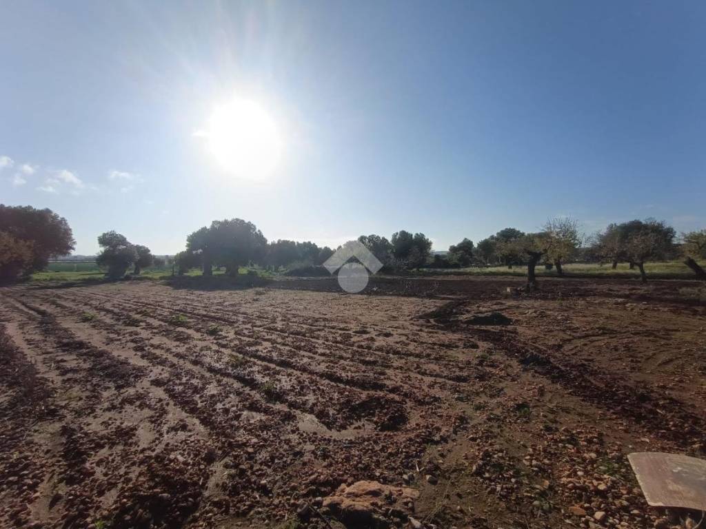 Terreno a Polignano a mare in Contrada Mucchio o Spesseto - Foto 4