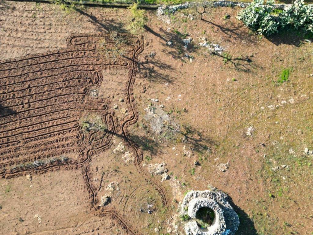 Terreno a Polignano a mare in Contrada Mucchio o Spesseto - Foto 5