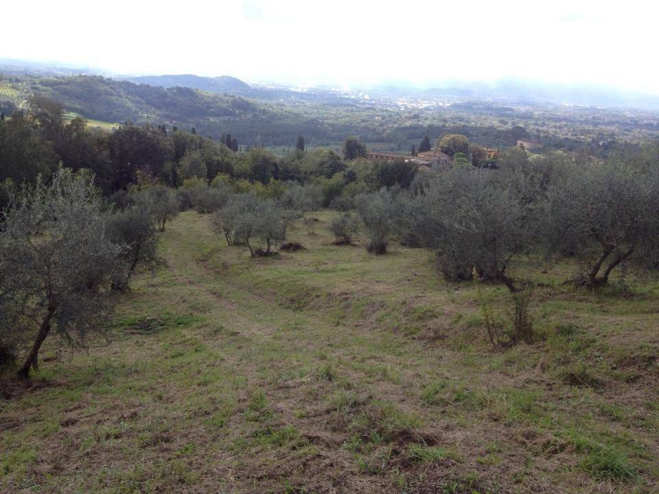 Terreno a Capannori in Via di Celli - Foto 3