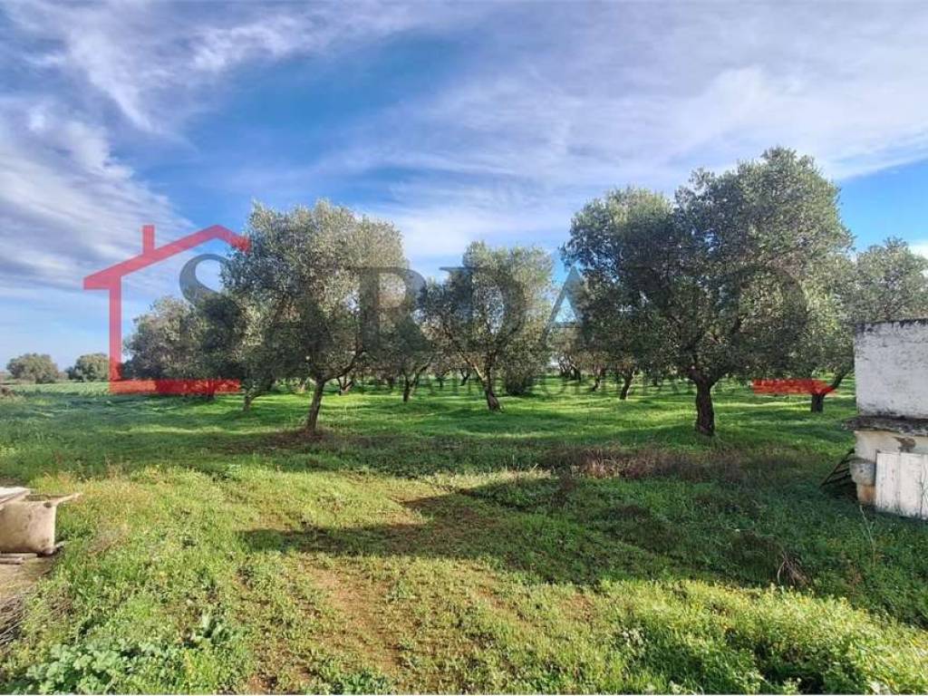 Casa indipendente a Brindisi - Foto 5