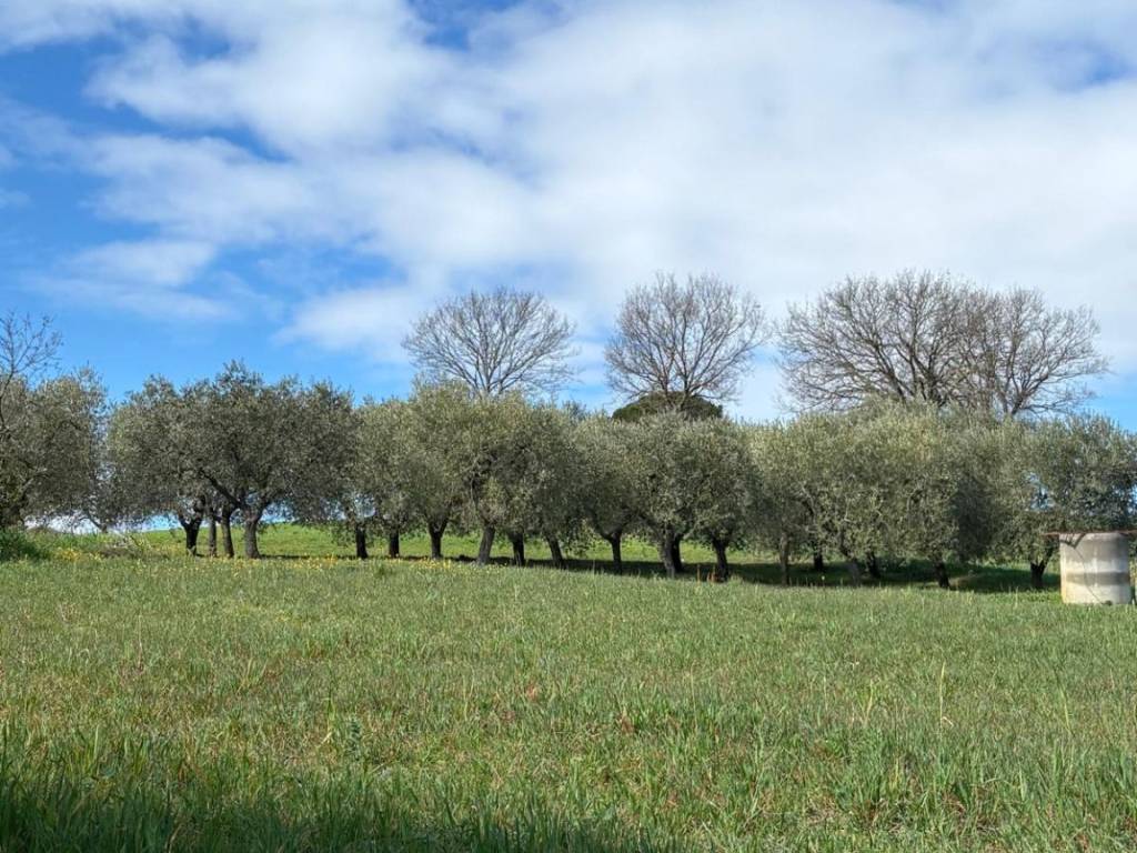 Villa a Pietrelcina in Strada Statale della Val Fortore - Foto 4