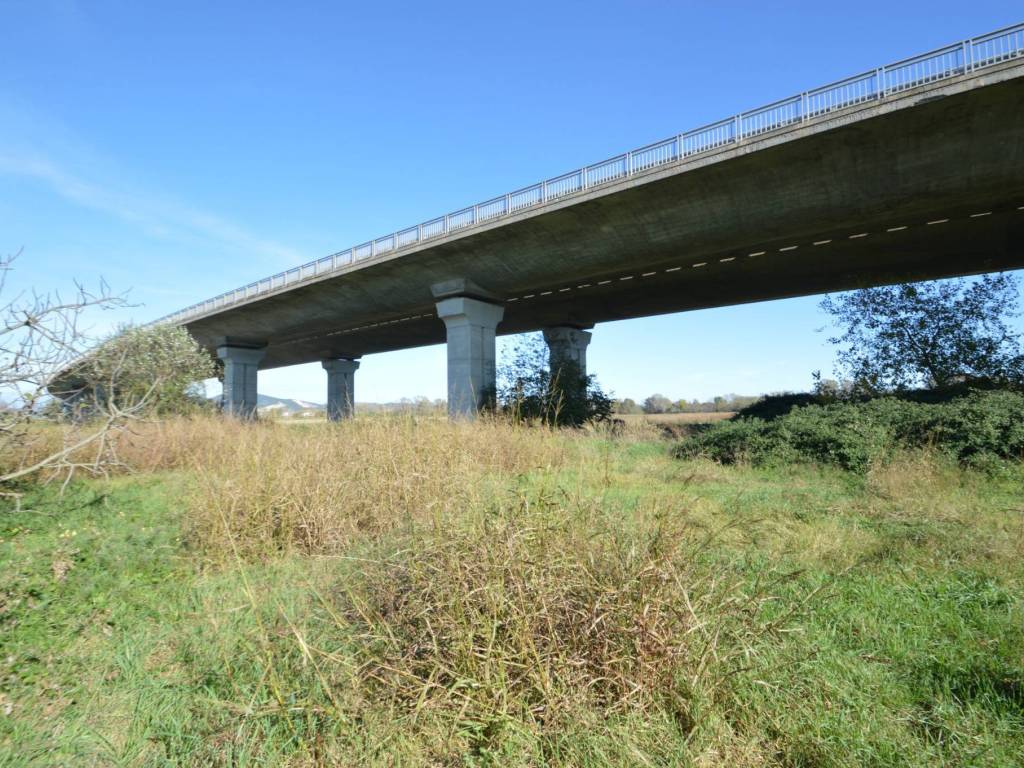 Immobile a Grosseto in Strada dell'Isolotto - Foto 2