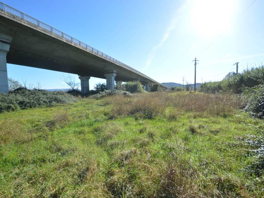 Immobile a Grosseto in Strada dell'Isolotto - Foto 3