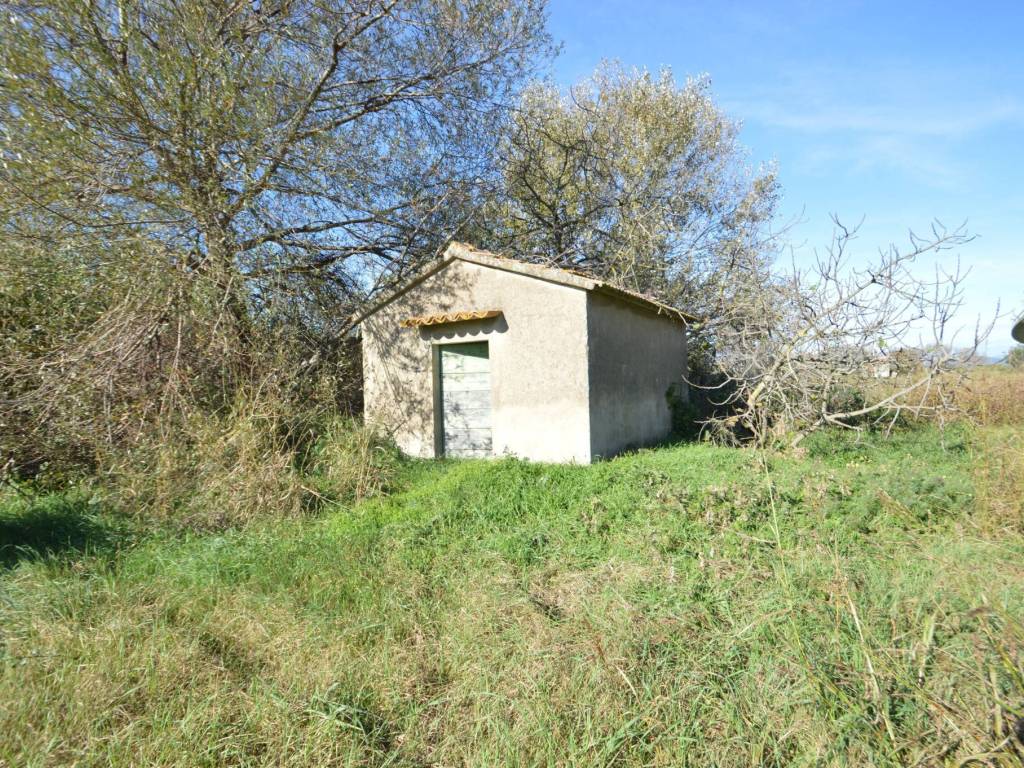 Immobile a Grosseto in Strada dell'Isolotto - Foto 4