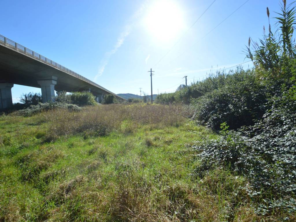 Immobile a Grosseto in Strada dell'Isolotto - Foto 5