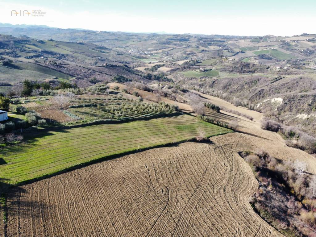 Terreno a Ripatransone in contrada San Savino - Foto 2