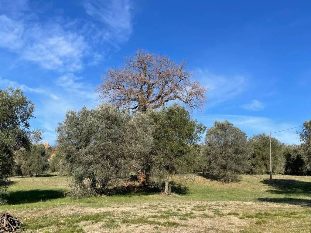 Rustico / casale a Amelia in rfimembranze, 22 - Foto 4